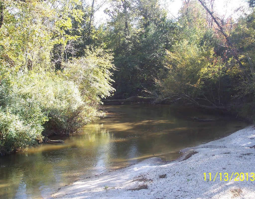 Pushepatapa Creek @ Old Military Road East View