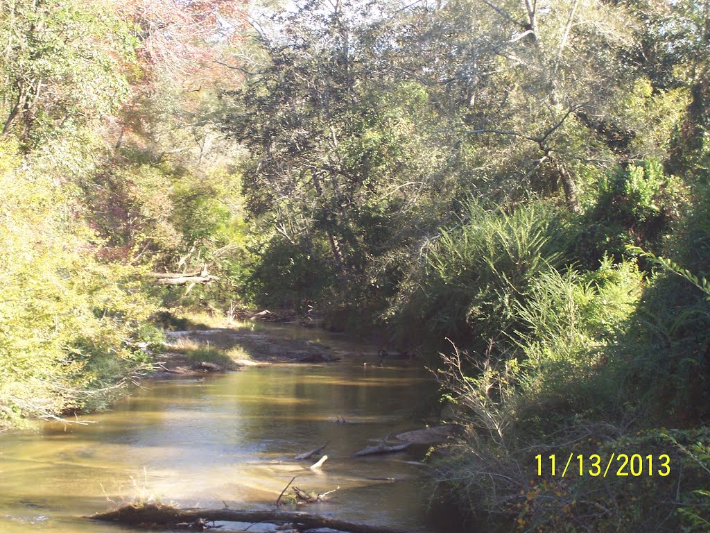 Pushepatapa Creek @ Monroe Creek Road East View