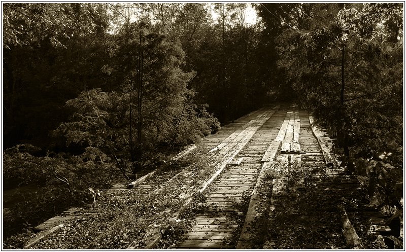 Wooden Bridge near Lecompte, LA