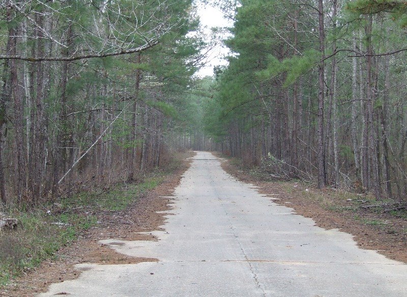 Camp Claiborne