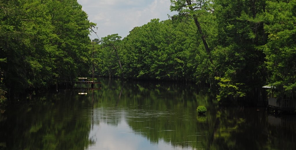 Black Lake Bayou