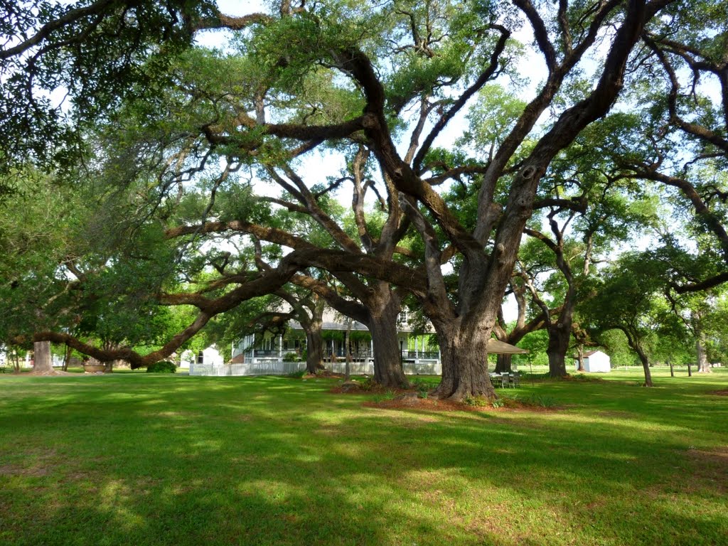 Cane River Creole Natl Historic Park, Oakland