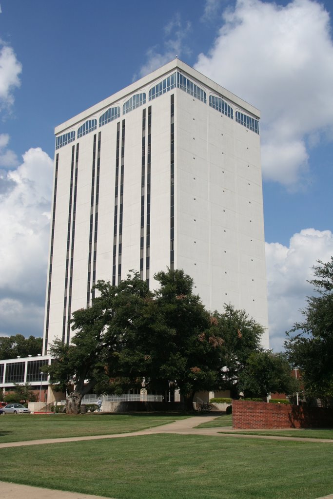 Wyly Tower