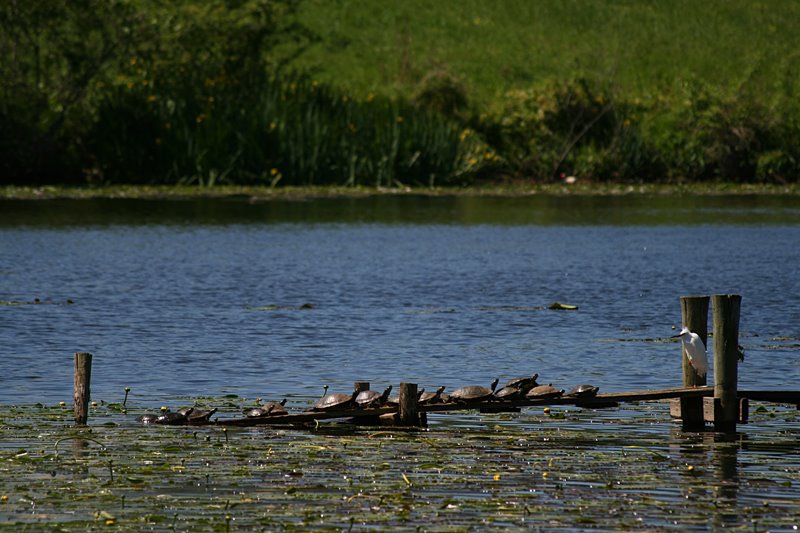 Sermon on the Bayou