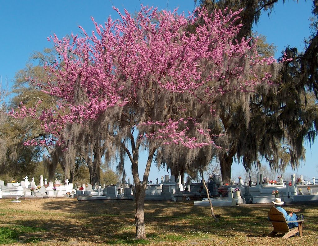 Jesuit Center, Grand Coteau, LA