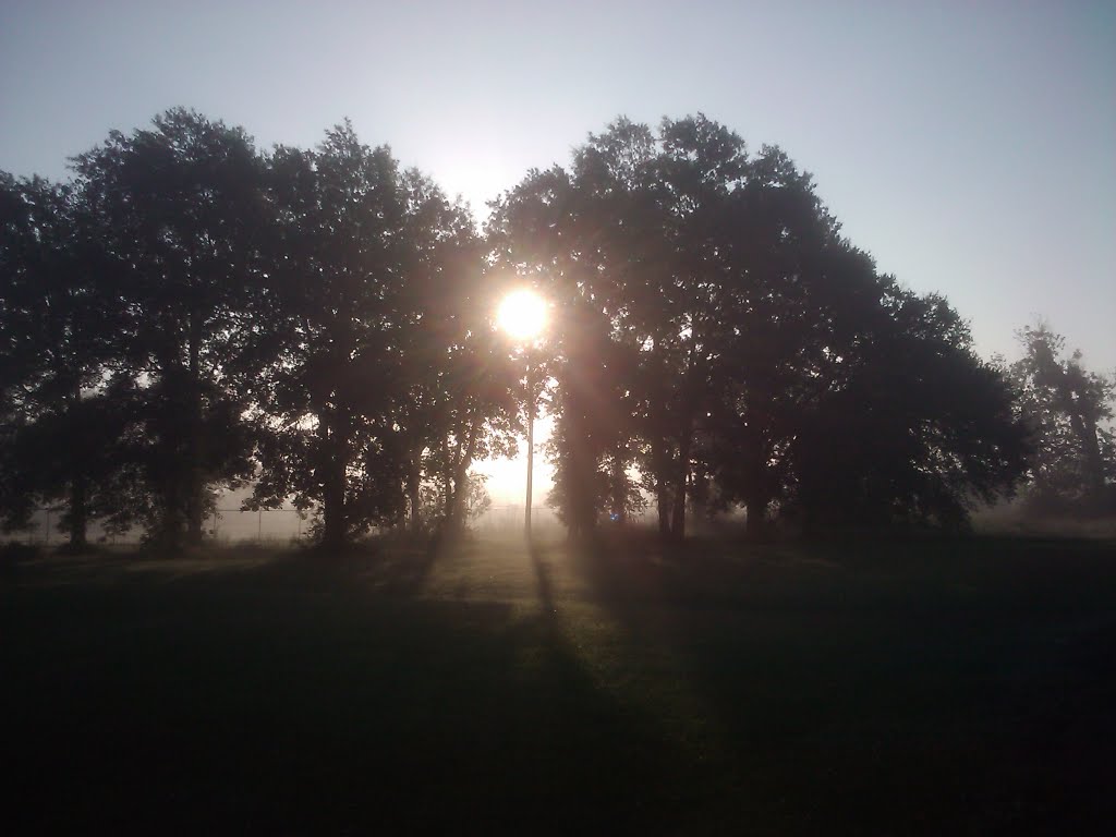 Sulty Sunrise