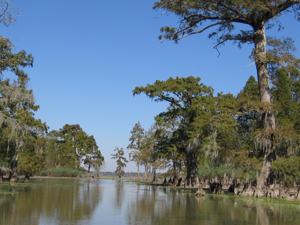 Spanish Lake