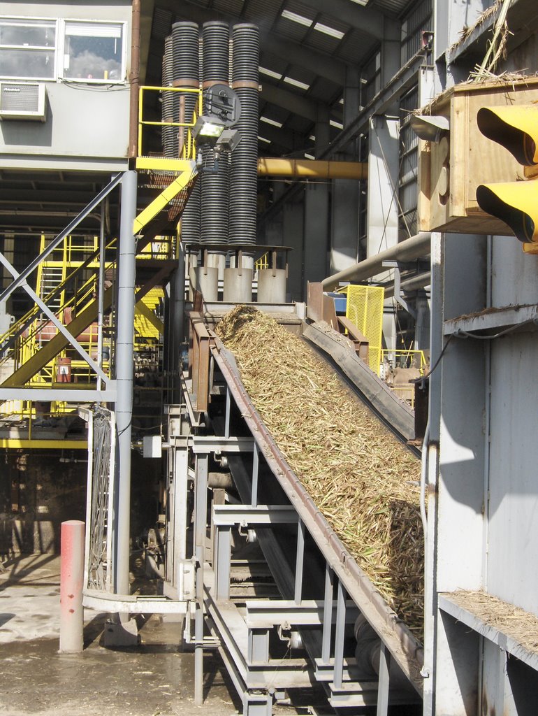 Cora-Texas Sugar Mill