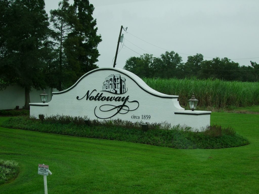 Vers Nottoway Plantation