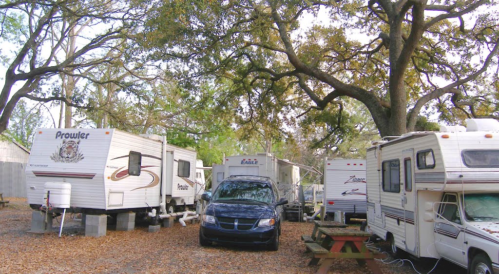 The Black Sheep of the campgrounds