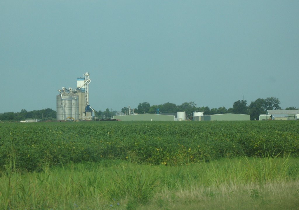 Farm off U.S. 80