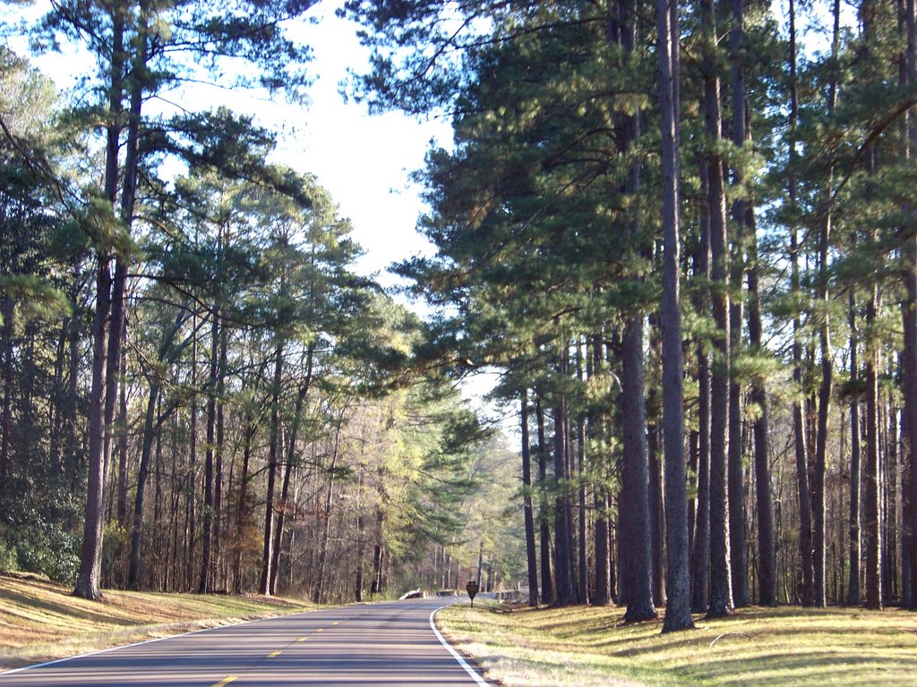 Natchez Trace Parkway