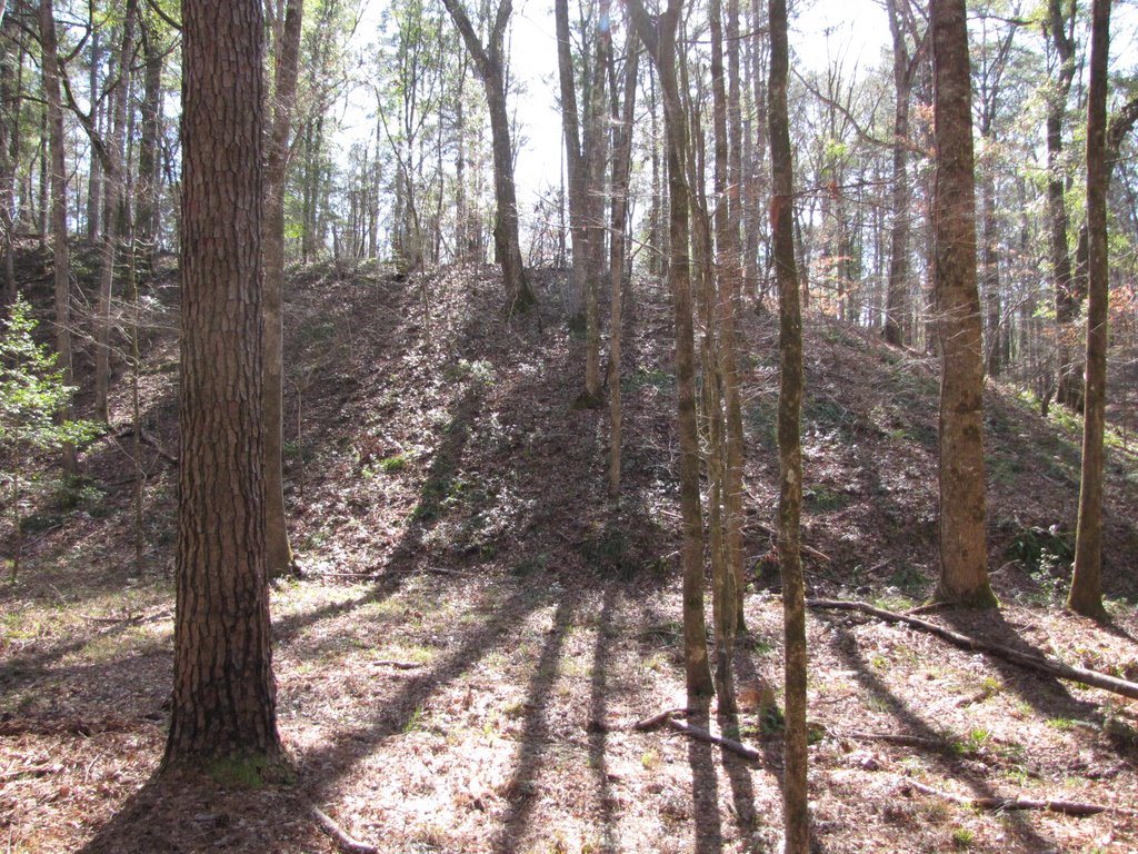 Clear Springs Trail, Homochitto Natt Forest, Mississippi