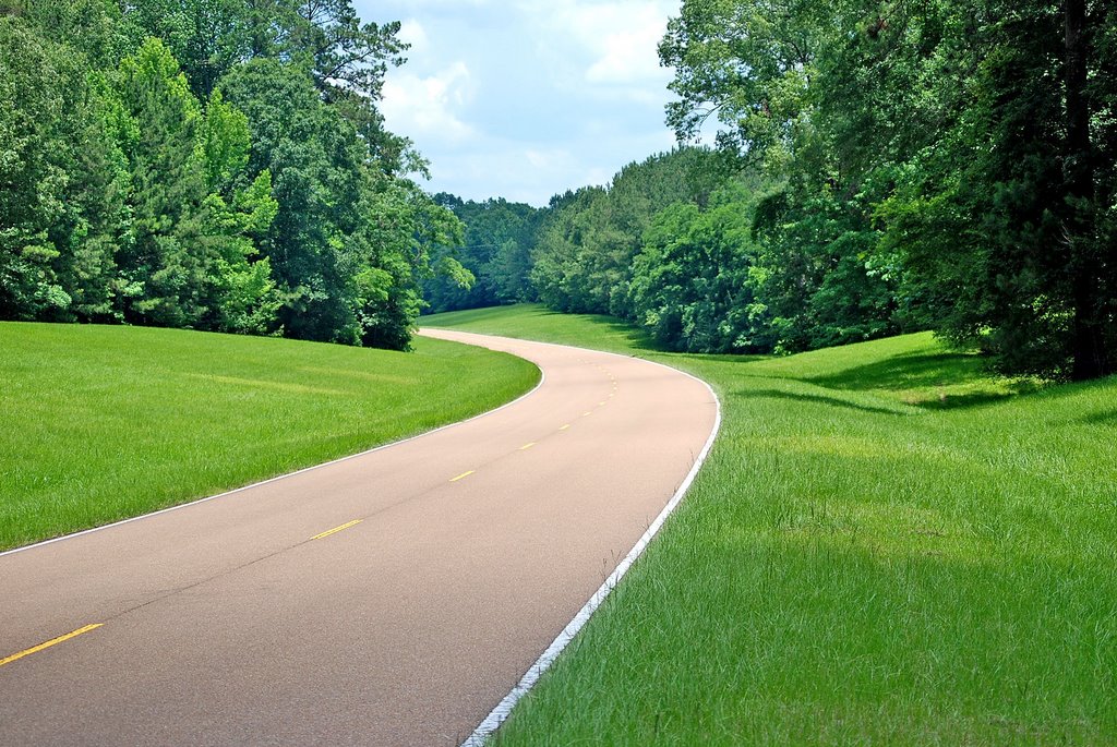 The amazing Natchez trace