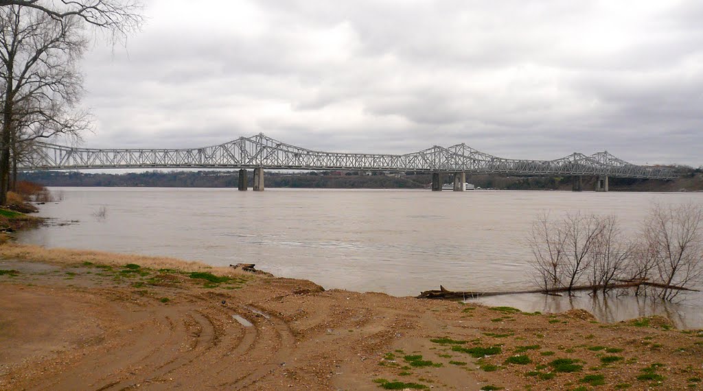 Natchez–Vidalia Bridge across Mississippi River, view from Louisiana side