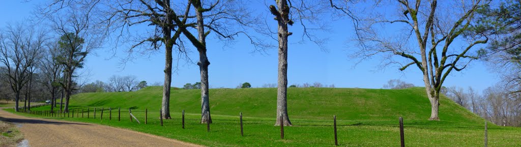 Natchez Trace Pkwy, Emerald Mound
