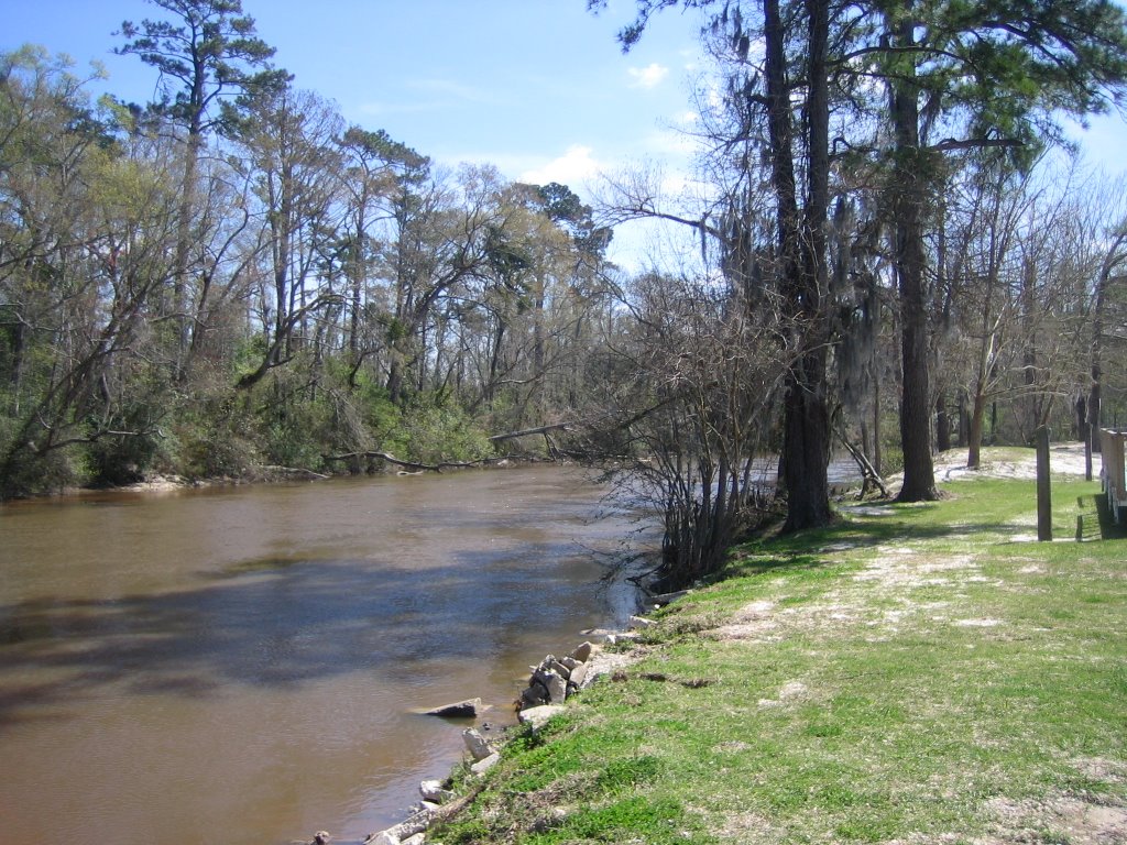 Bogue Falaya River at Bogue Falaya Park, downstream