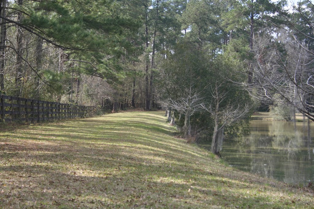 Pond