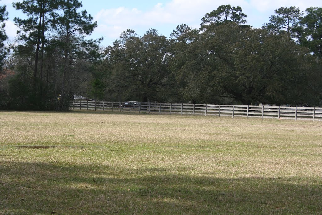 Southwest Property Fence