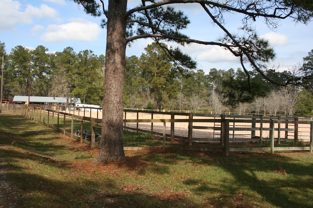 Sand Lot 2