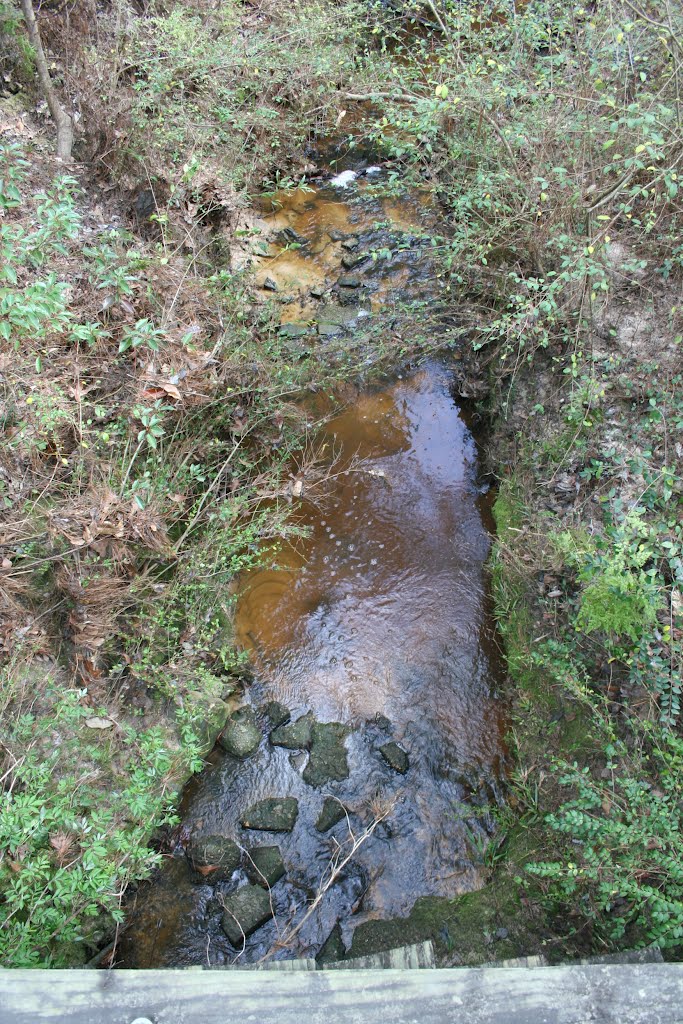 Main Road Bridged Stream