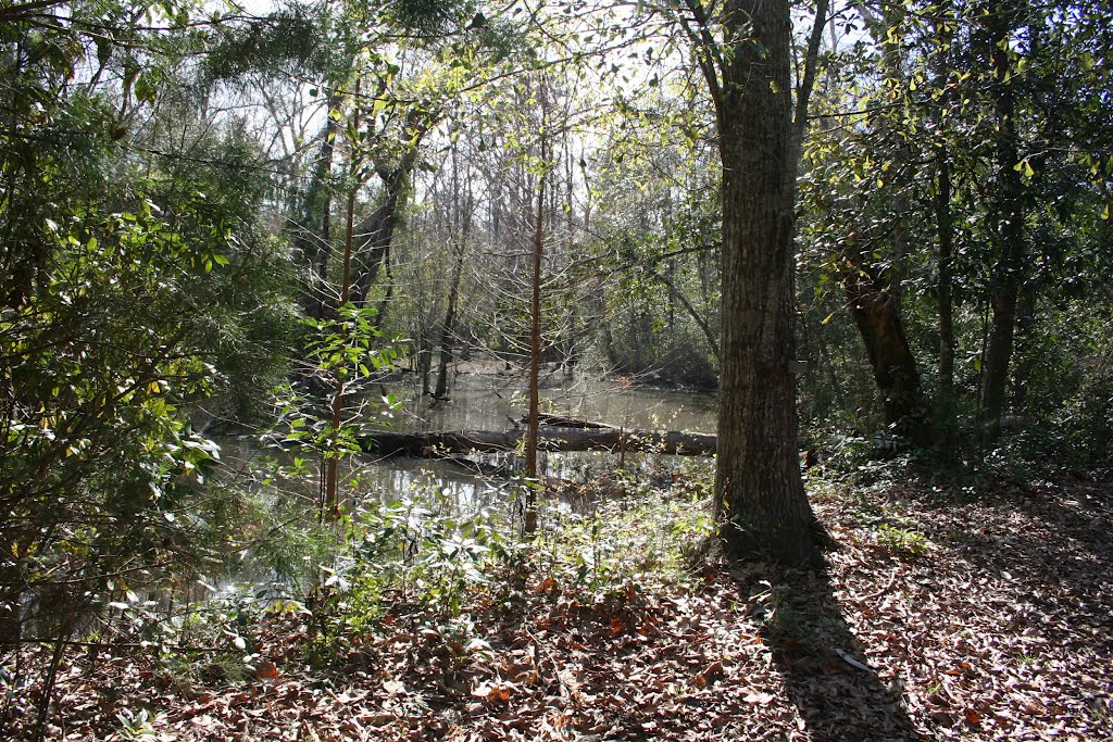 Enchanted Lake