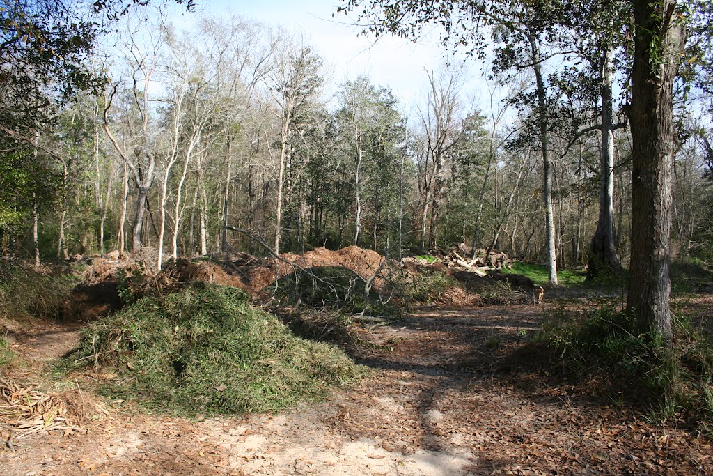 Compost Area