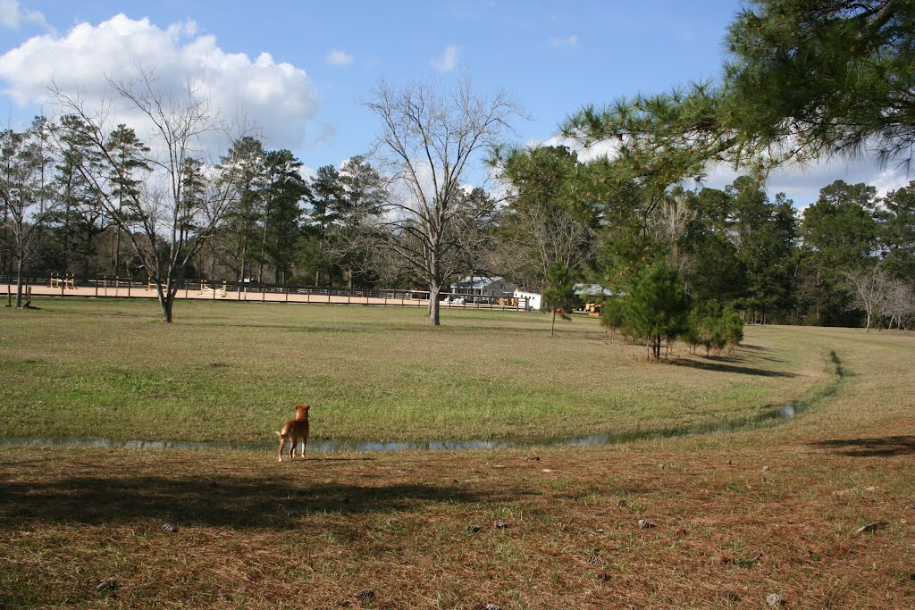 Open Space Swale