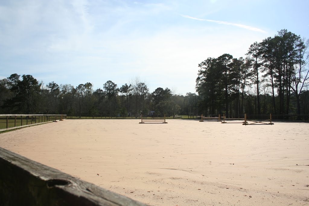Sand Lot 2