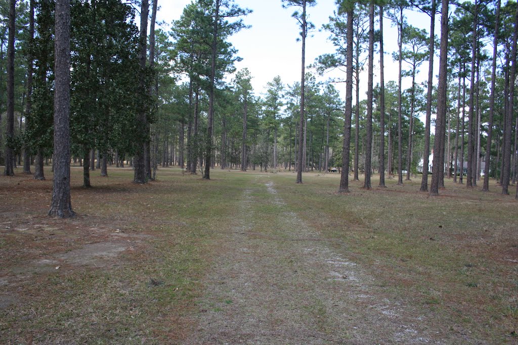 North Road to Trails