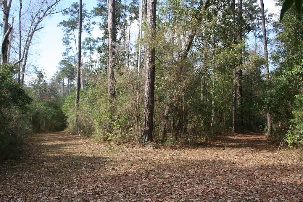Trail Armadillo Point