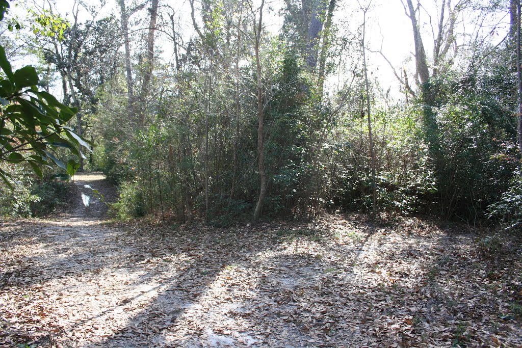 Trail
