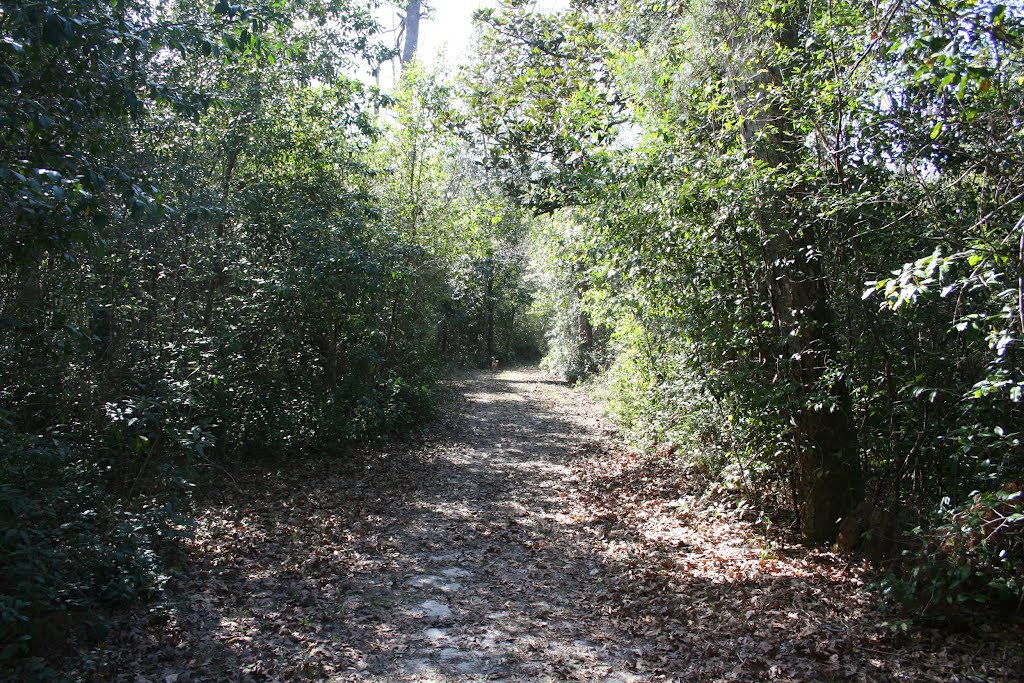 Trail