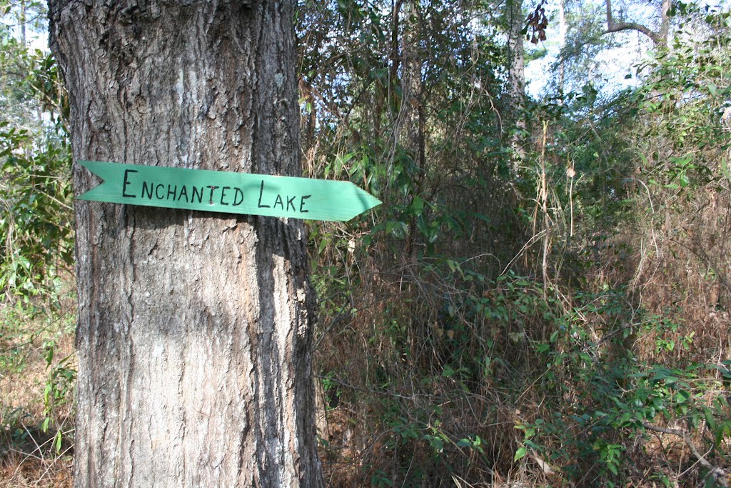 Trail