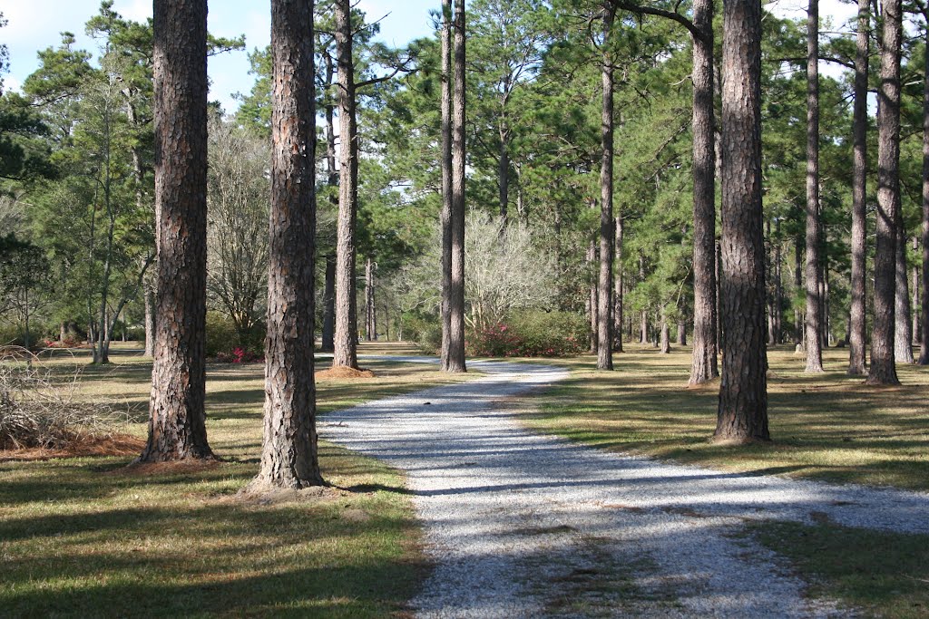 Main House Driveway