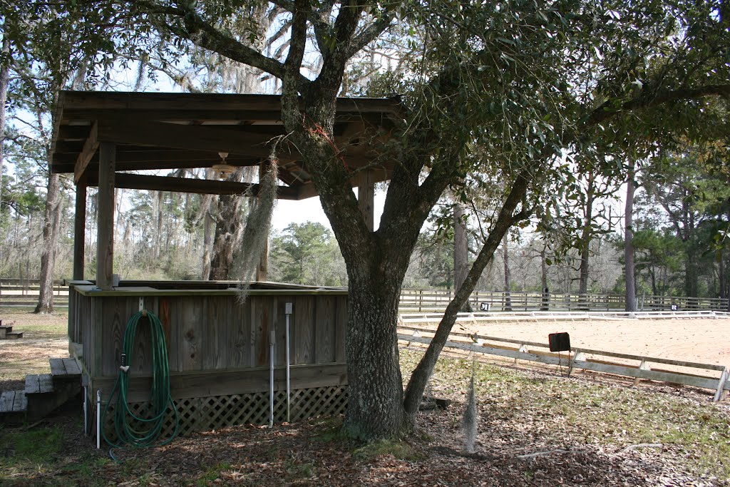 Observation Hut
