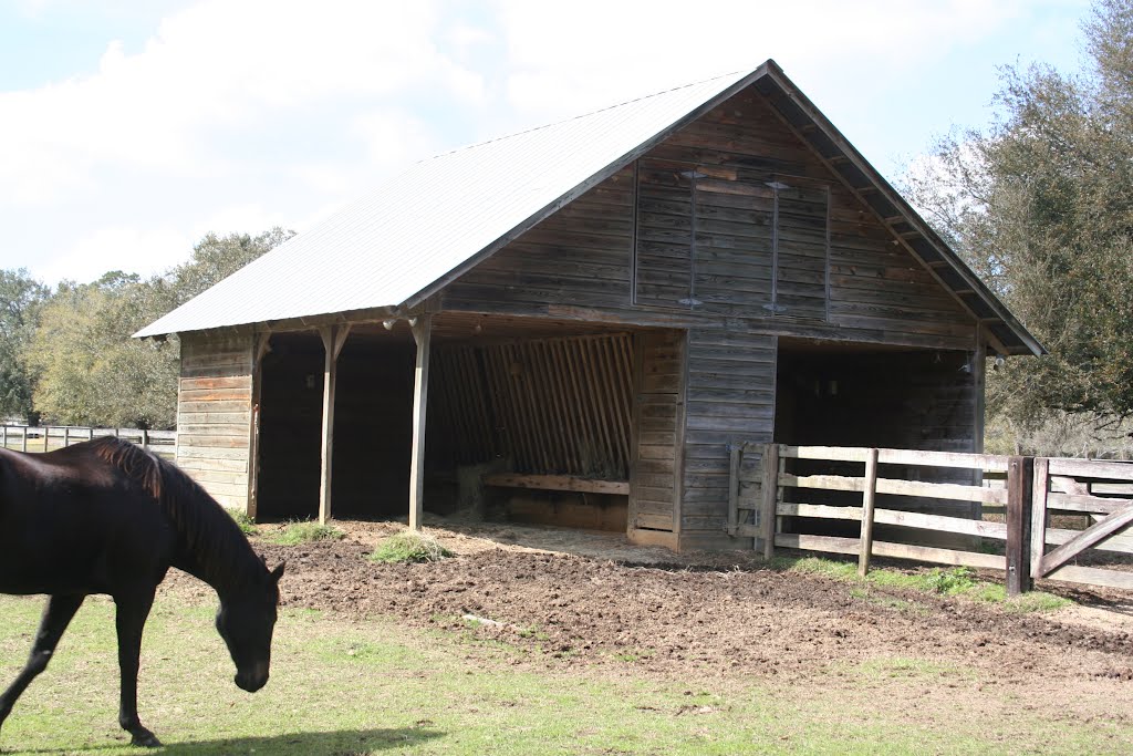 Horse Shelter