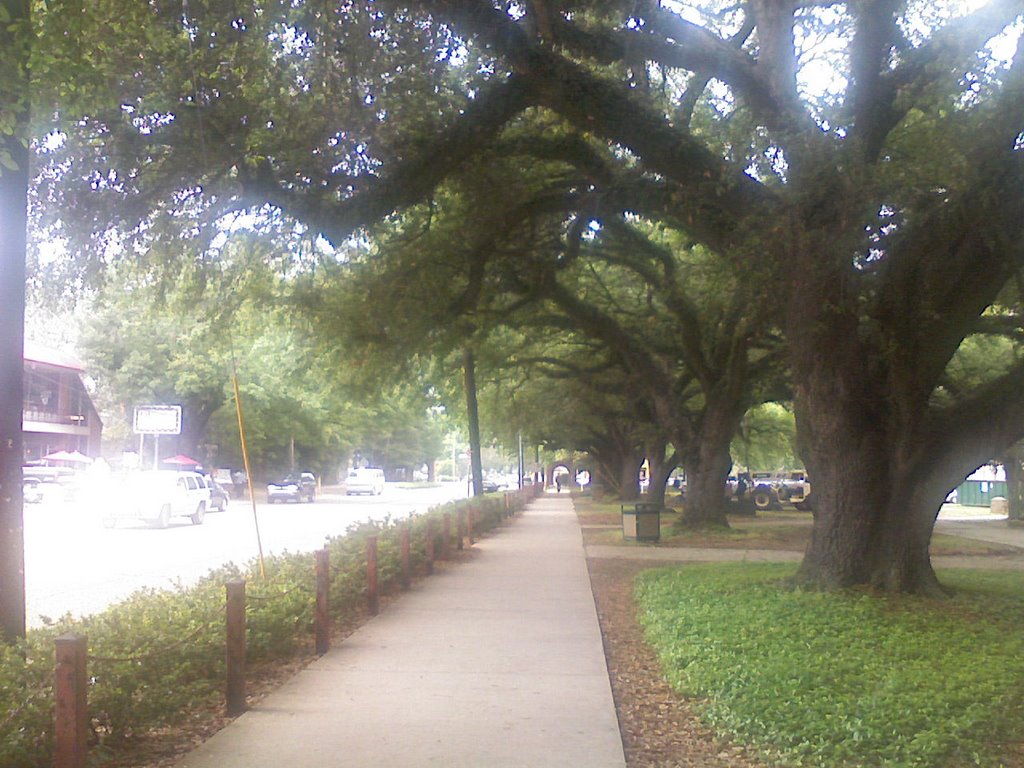 University of Louisiana, Lafayette; St Mary Street