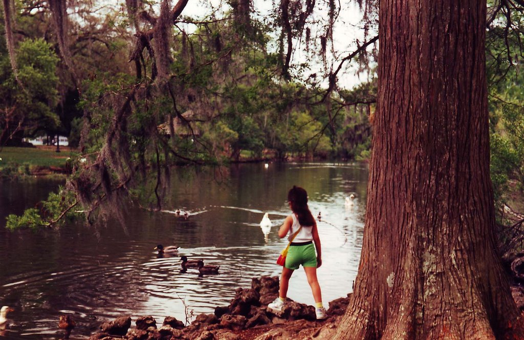 Park, Lafayette, Louisiana