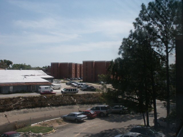 UPA looking at Stokes Hall 2002