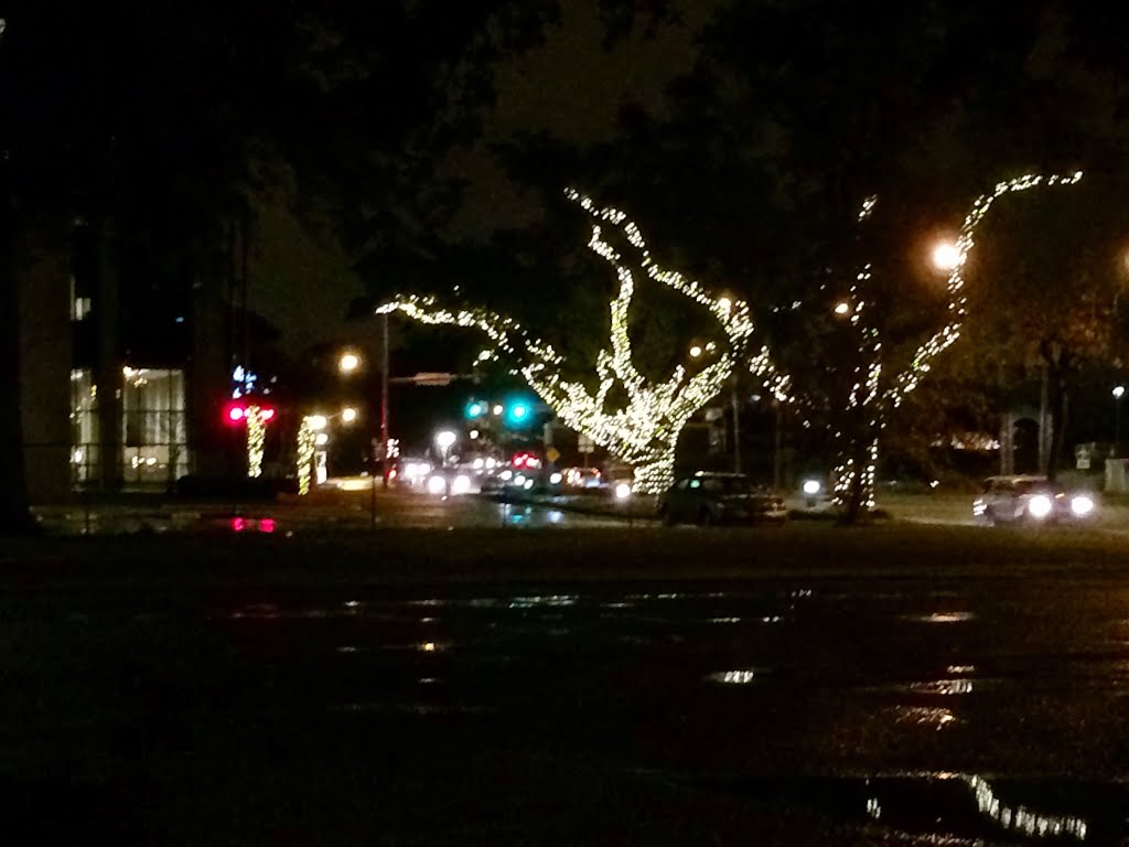 Christmas Lights