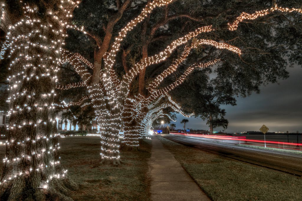 Christmas Lights