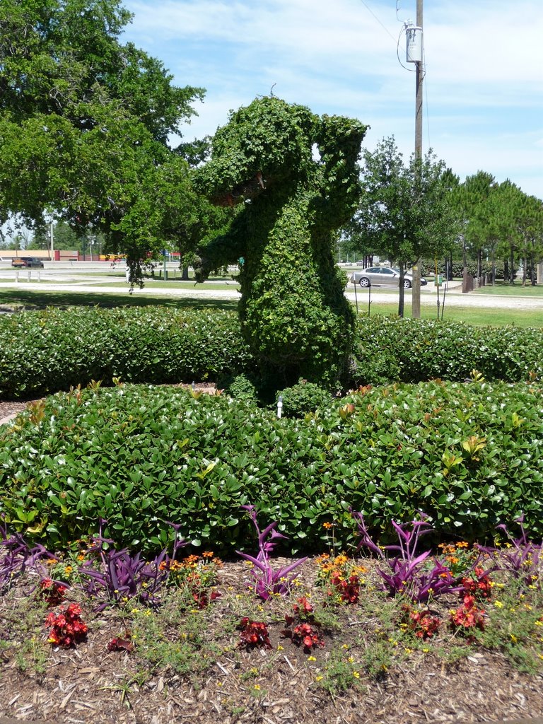 Louisiana Gator