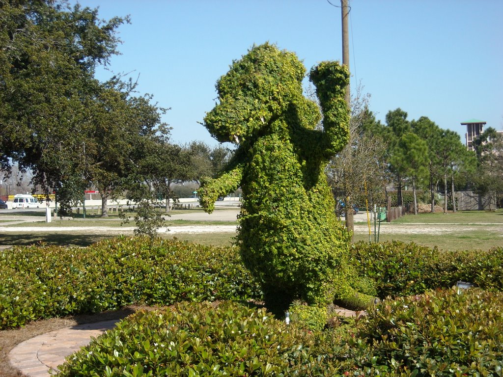 LAKE CHARLES- Alligator