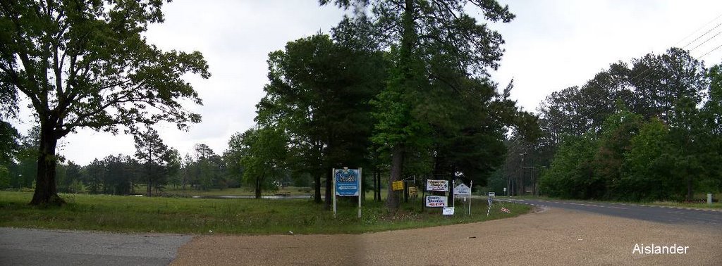 Forest Hill, LA -- "nursery row"