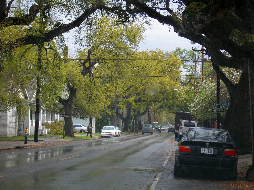 Driving down Magazine St.