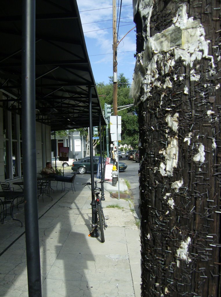Telephone Pole