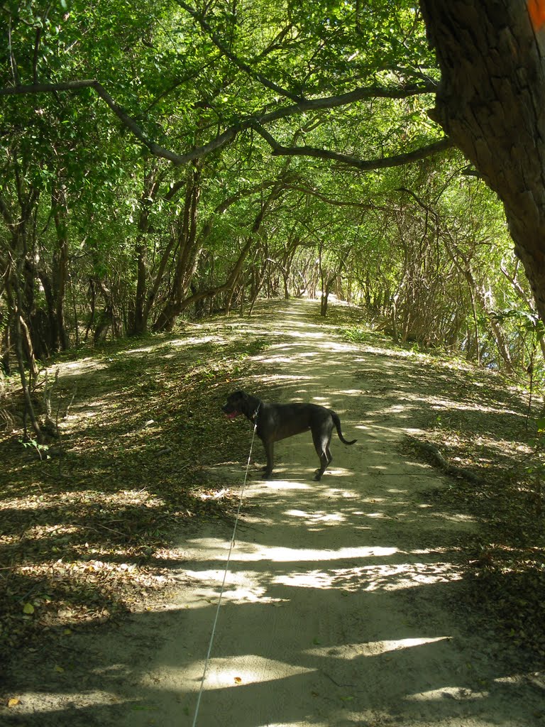 Mountain Bike Trail