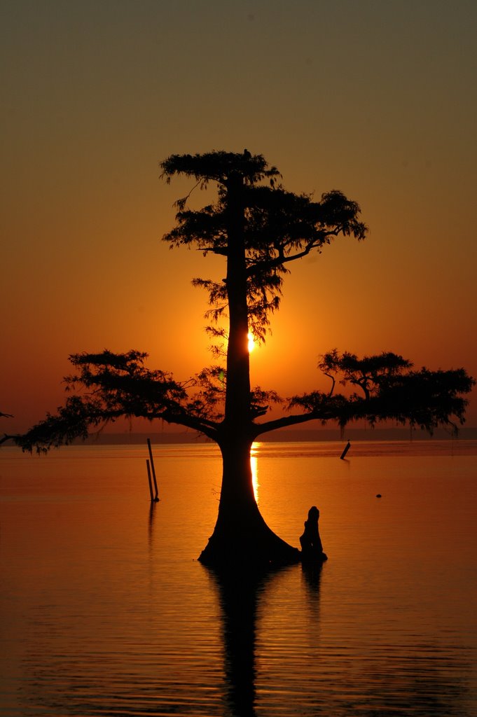 Sunrise at Lake End Park, Morgan City, LA