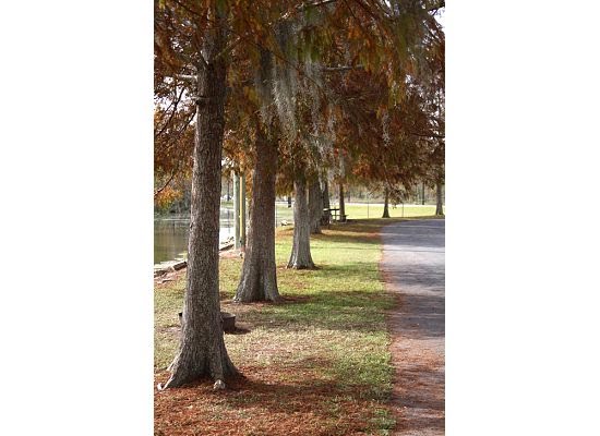 walking trail at lake end park